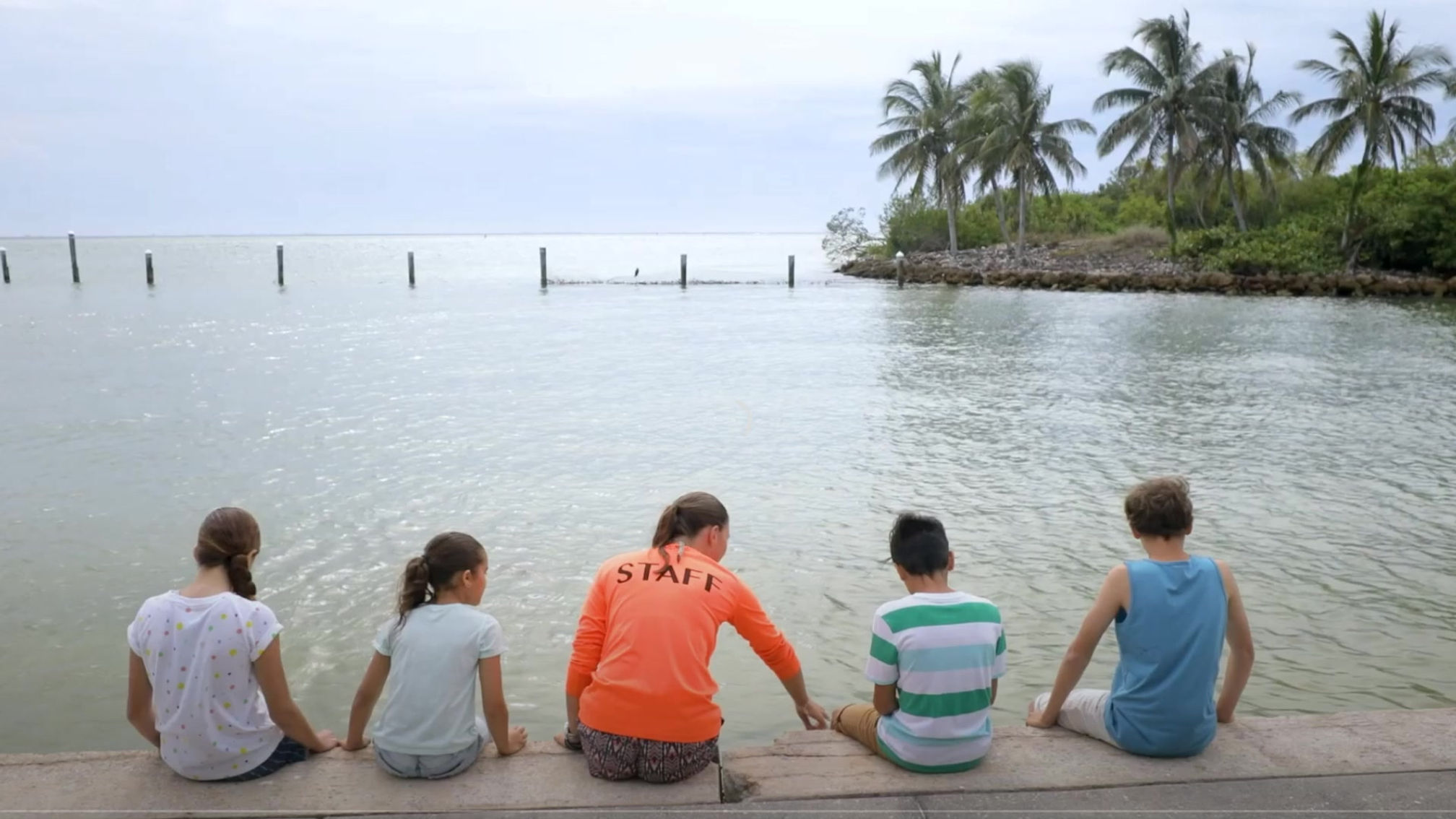 South Seas Island Resort: A Natural Wonderland